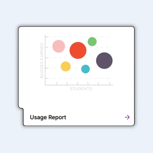 Usage Report preview